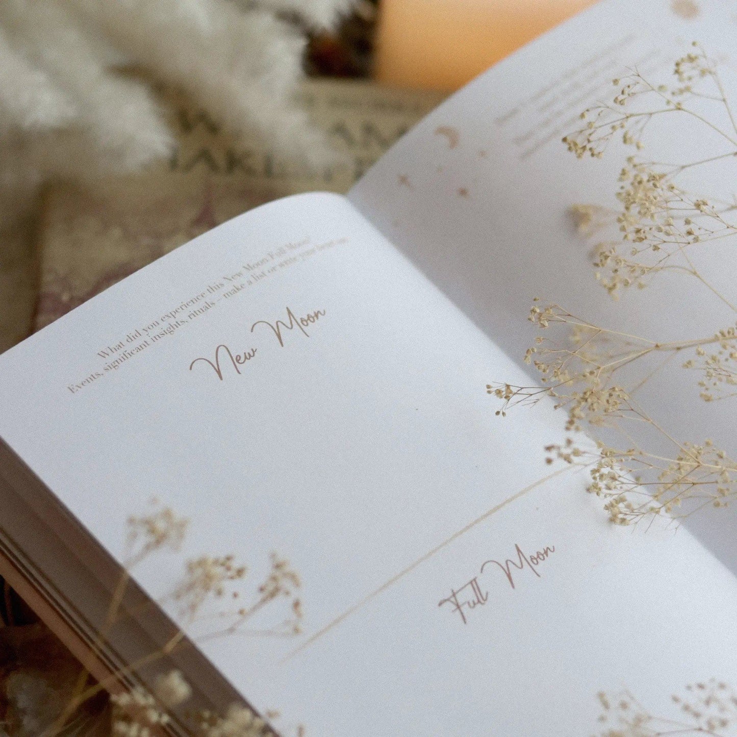 Moon Journal