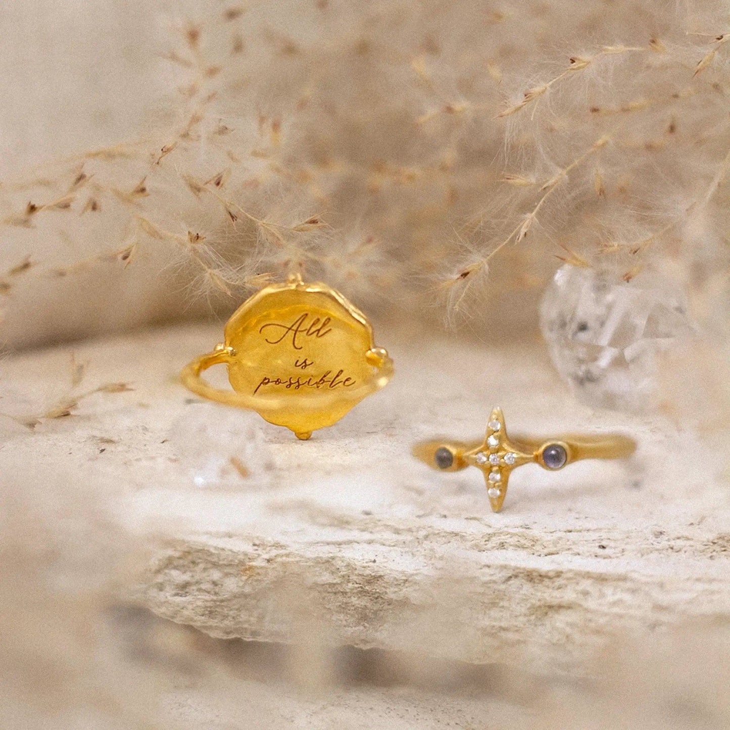 Infinite Potential & True North • Rings