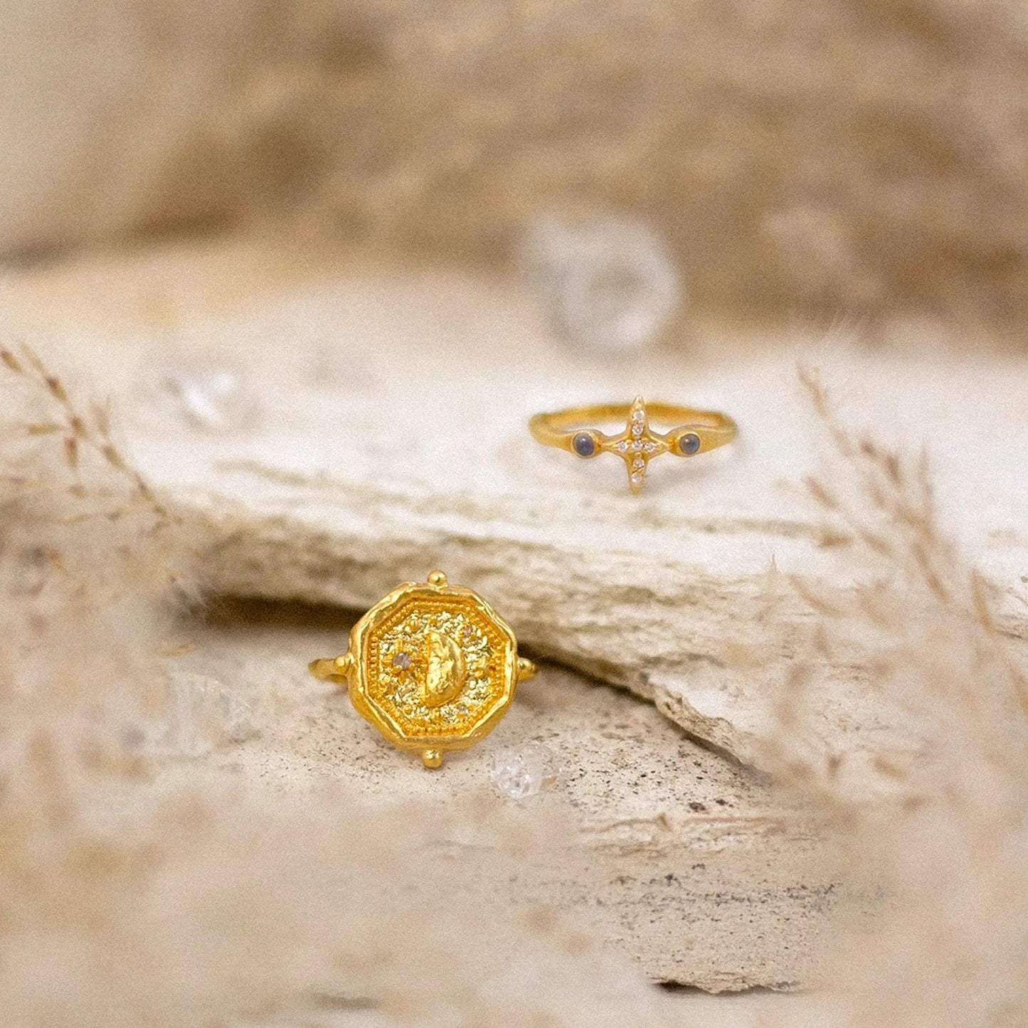 Infinite Potential & True North • Rings
