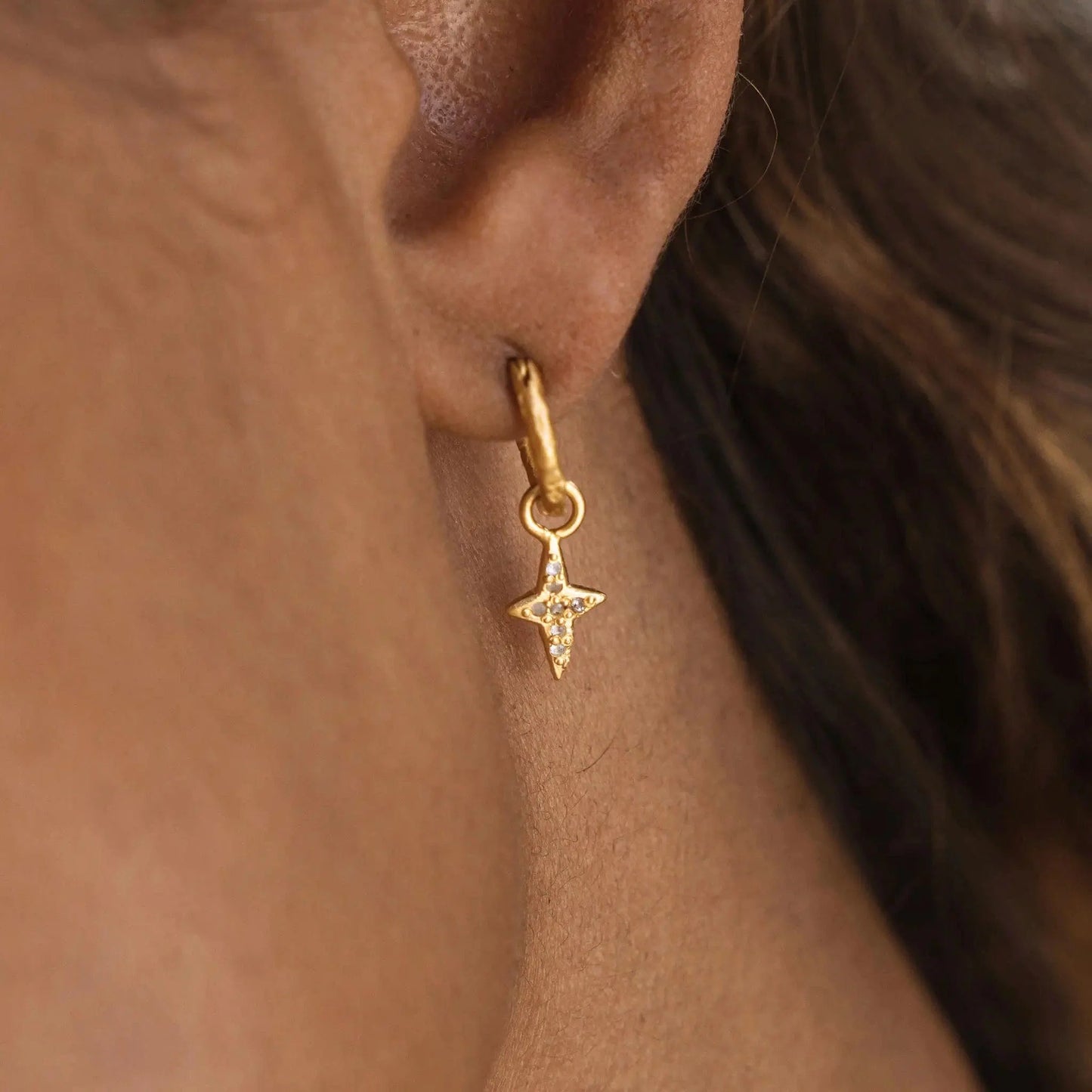 True North • Hoop Earrings